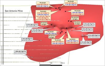 Figure 4: Expanded Long Section (AA