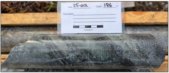 Cannot view this image? Visit: https://uslucrativenews.com/wp-content/uploads/2025/12/278191_forgeimg2_550.jpg